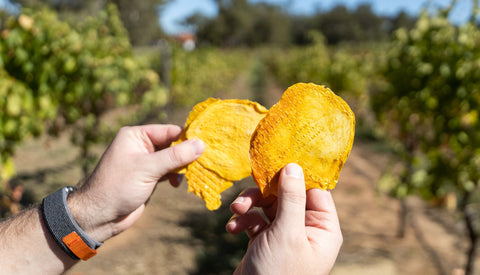 dried fruit snacking