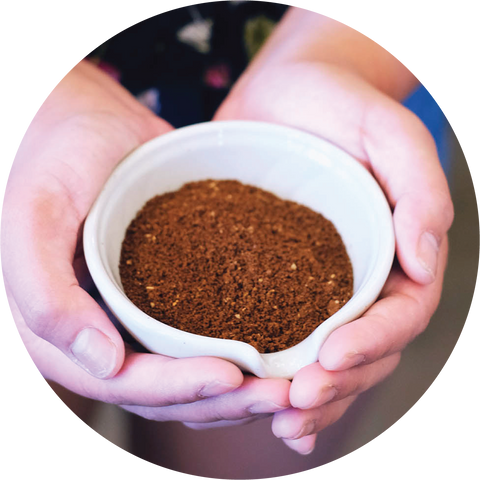 Coffee grind size for Hario V60