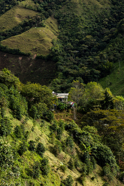 San Sebastian de la Plata, Colombia