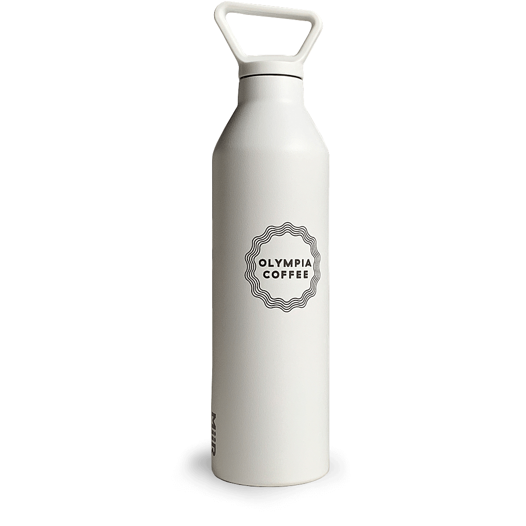 vacuum insulated bottle