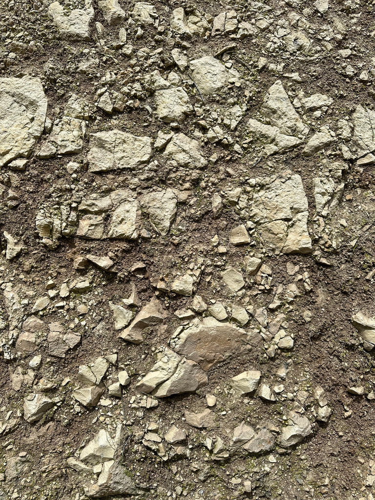 Limestone bedrock terroir in our vineyard.