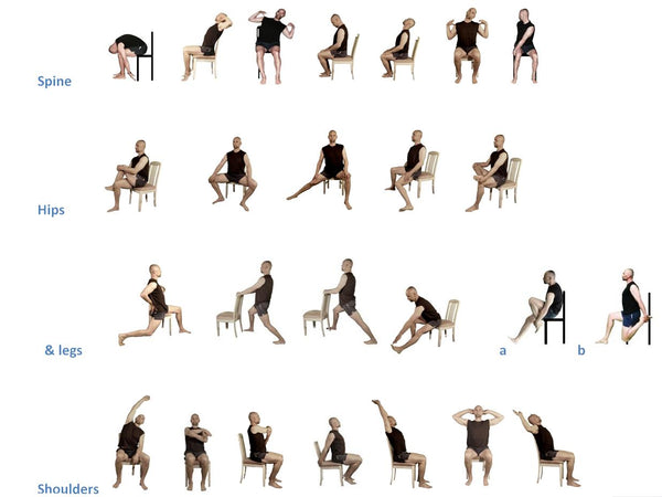 Stretching exercises for seniors, exercise program for seniors with ...