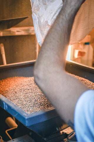 Du malt dans le moulin de Fauve Craft Bière au brewpub Les Cuves de Fauve