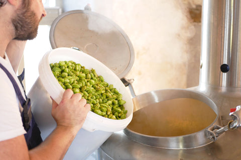 Ajout du houblon de notre houblonnière dans une des cuves par Fauve Craft Bière