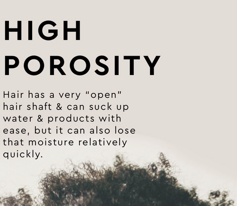 low vs high porosity hair