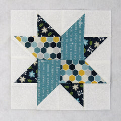 duck tracks quilt block