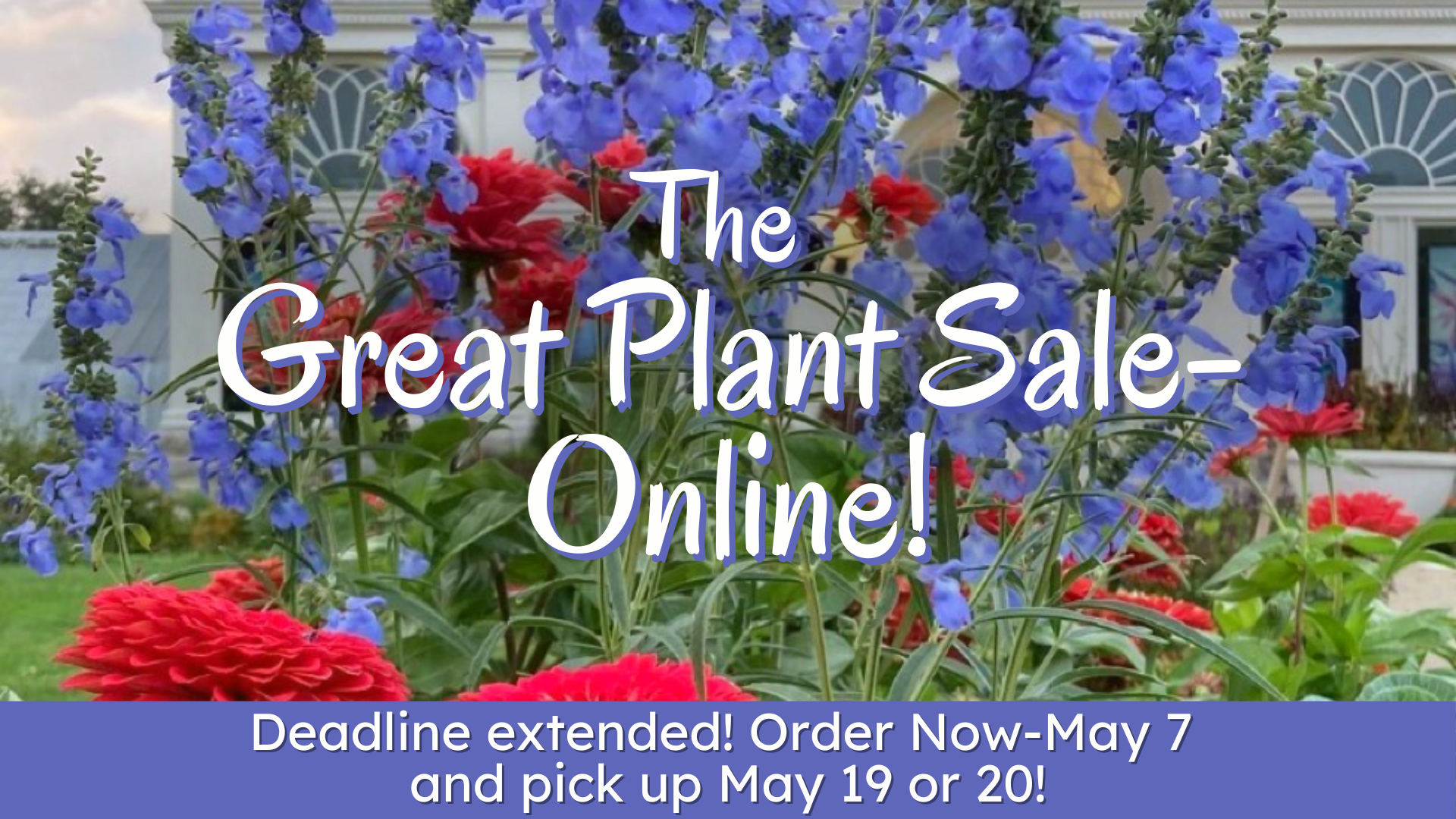 uitstulping Bladeren verzamelen Stressvol Great Plant Sale ONLINE 2023! – Buffalo Botanical Gardens