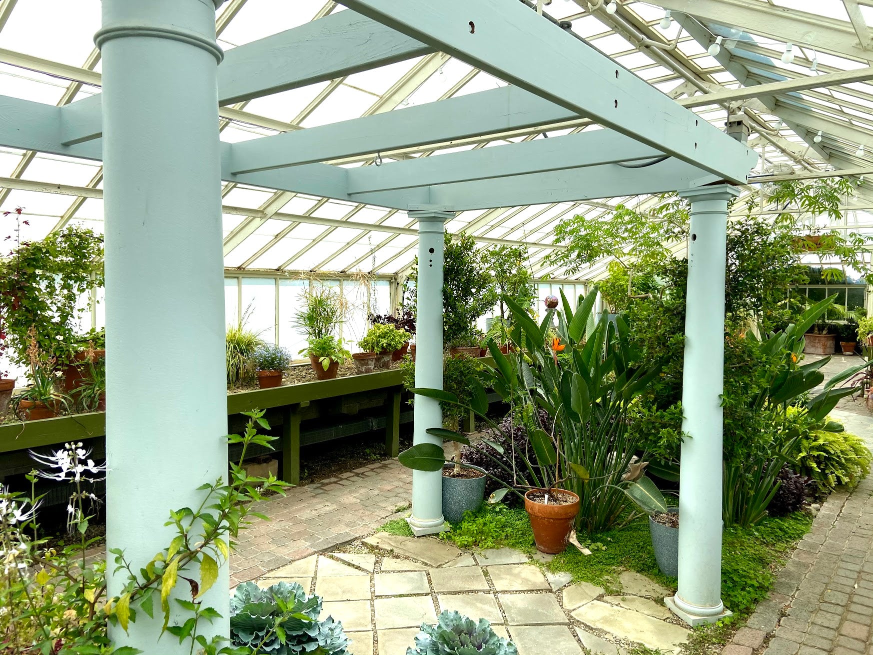House 9- Orchids, Tropical, and Seasonal Displays – Buffalo Botanical ...