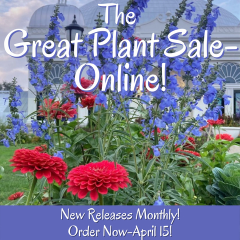 2021 Great Plant Sale Online Buffalo Botanical Gardens