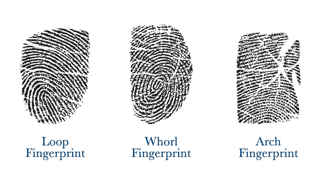 loop fingerprints