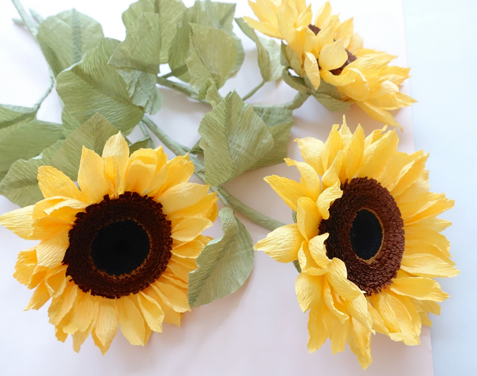 Xxxx School Girl Do Co - Crepe Paper Sunflower Tutorial - Carte Fini