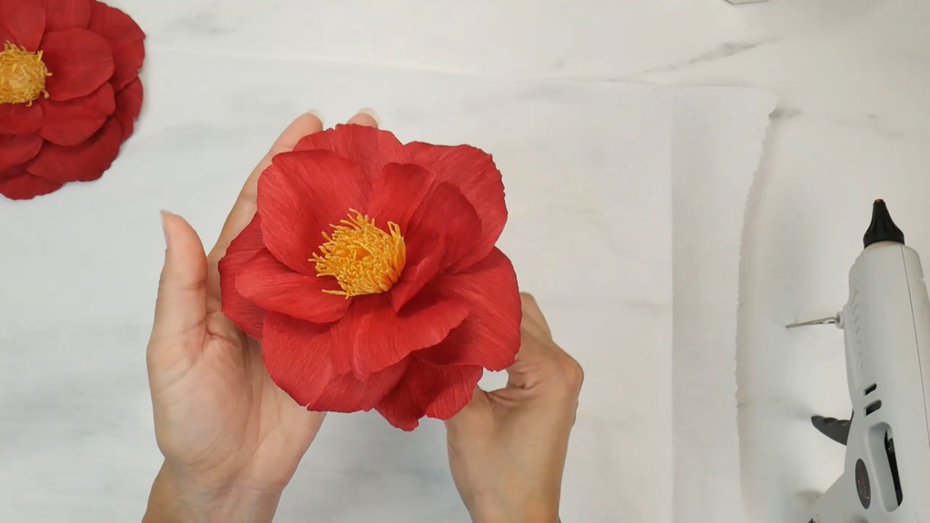 The Czar Camellia Tutorial