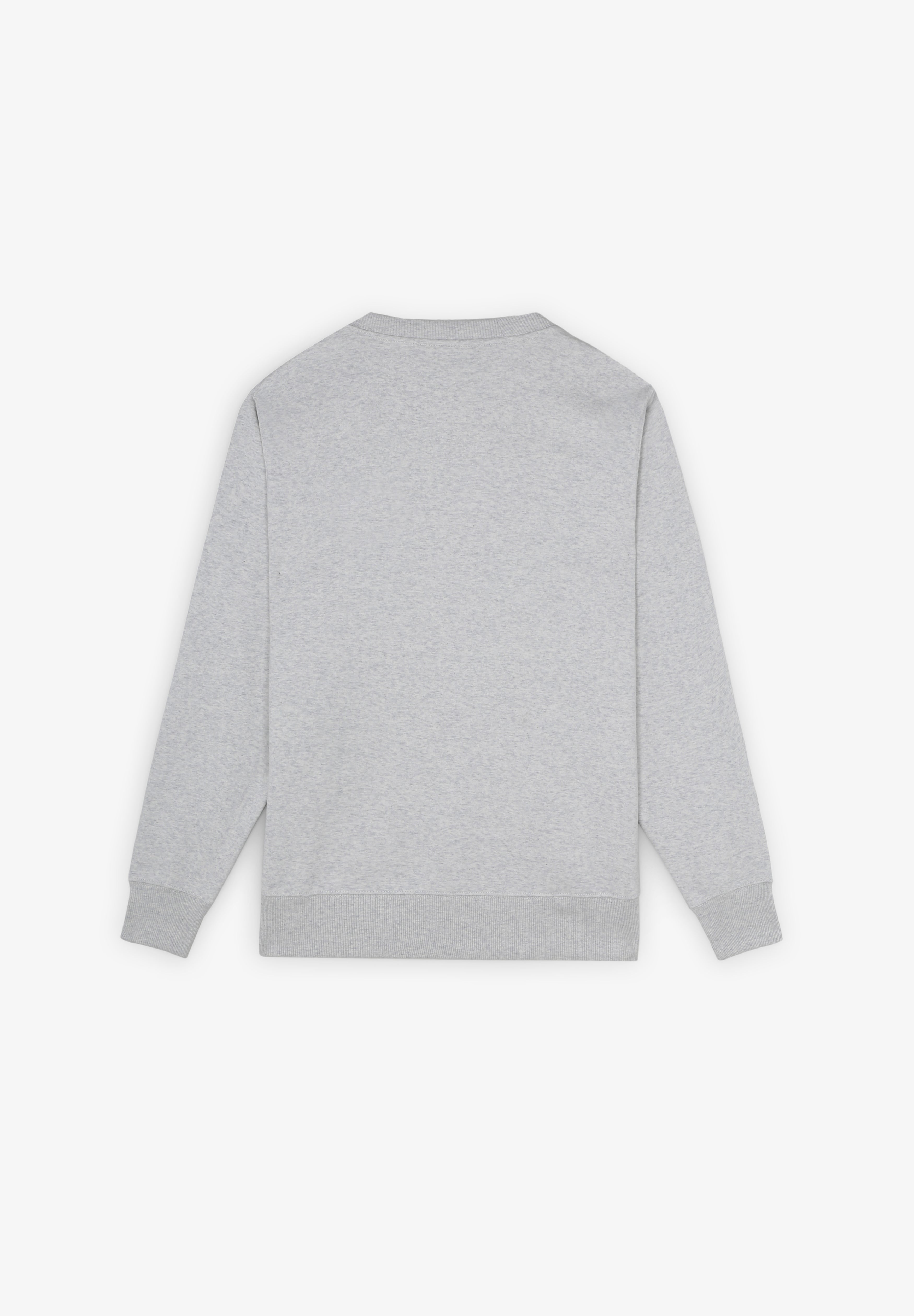 DICKIES | SWEATSHIRT SUMMERDALE