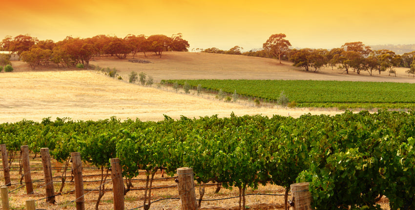 Barossa