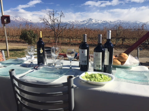 Lunch in Mendoza Vineyard