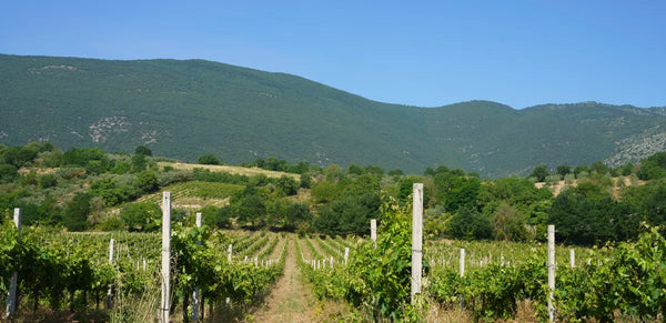 Landscape of Terre dei Peligni, Abruzzo, near Vittorito