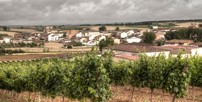 Ribera del Duero Vineyards1