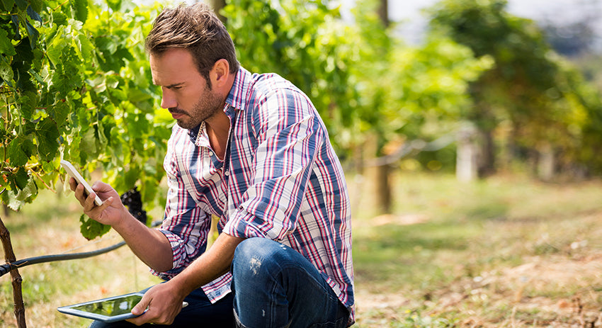 wine Tech in the Vineyard