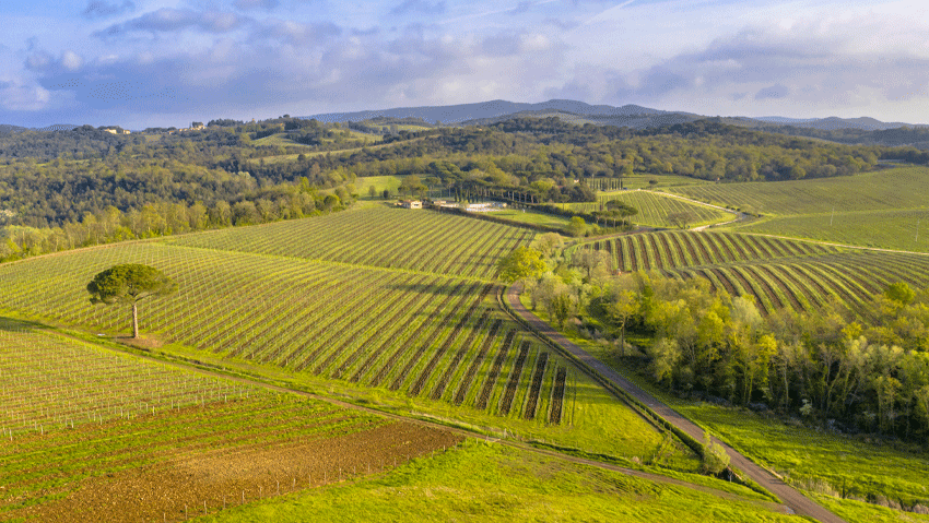 Tuscan Wine Region