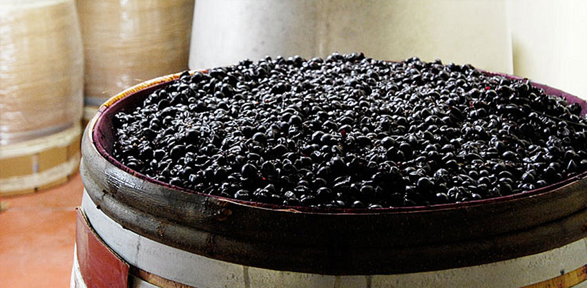 what is carbonic maceration