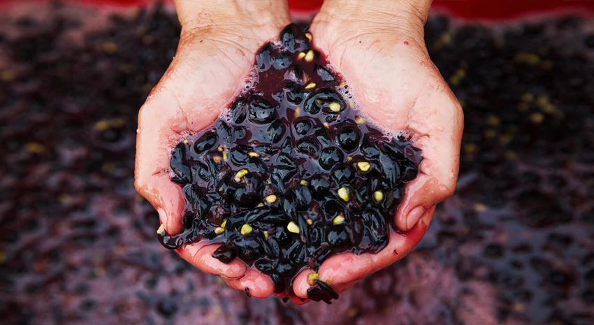 why carbonic maceration