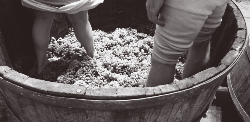 stomping grapes