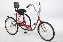 desoto 3 wheel bike