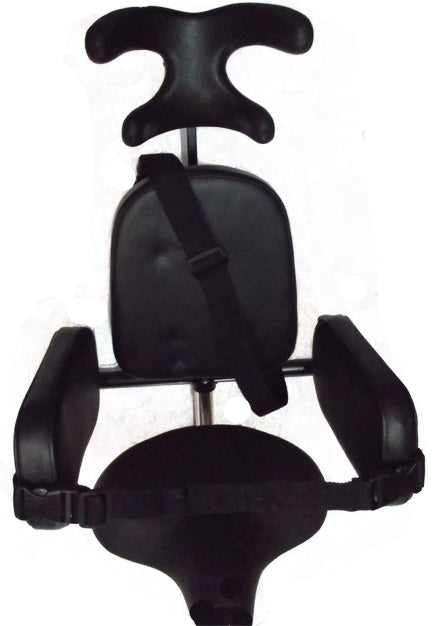 bike chair for special needs