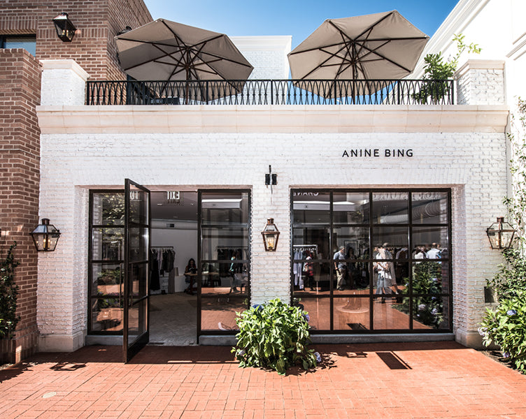 ANINE BING STORES