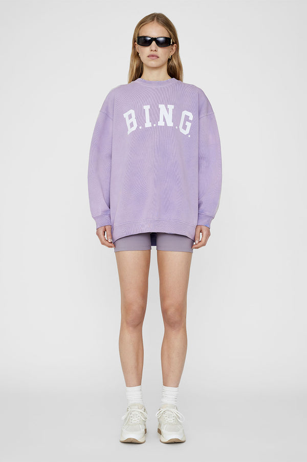 anine bing jordan sweater