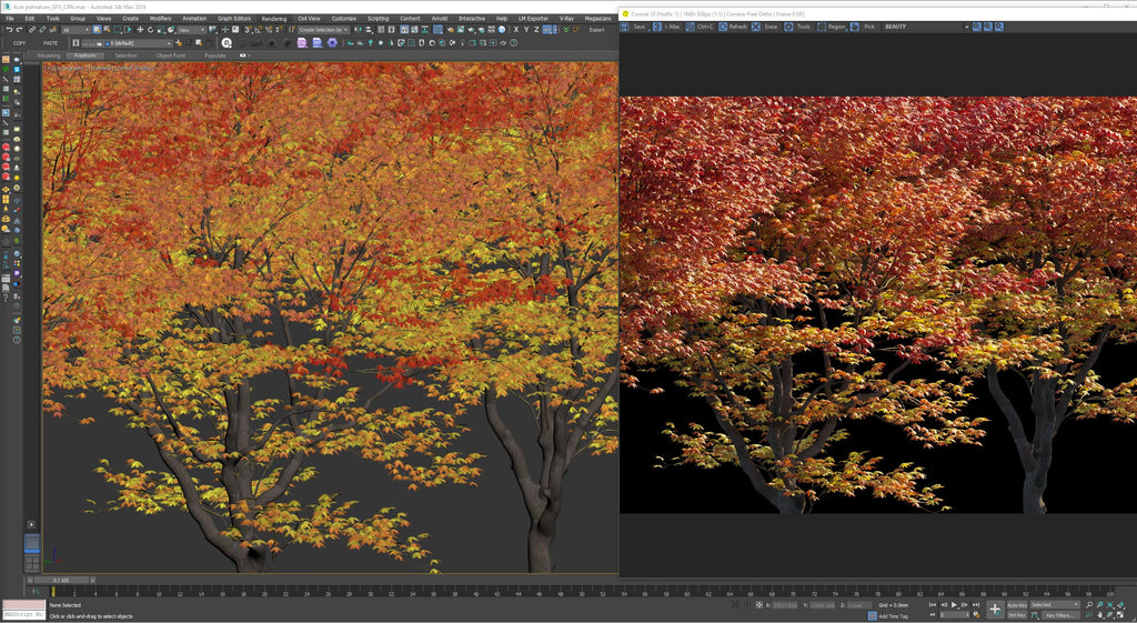 Japanese Maple 3Ds Max