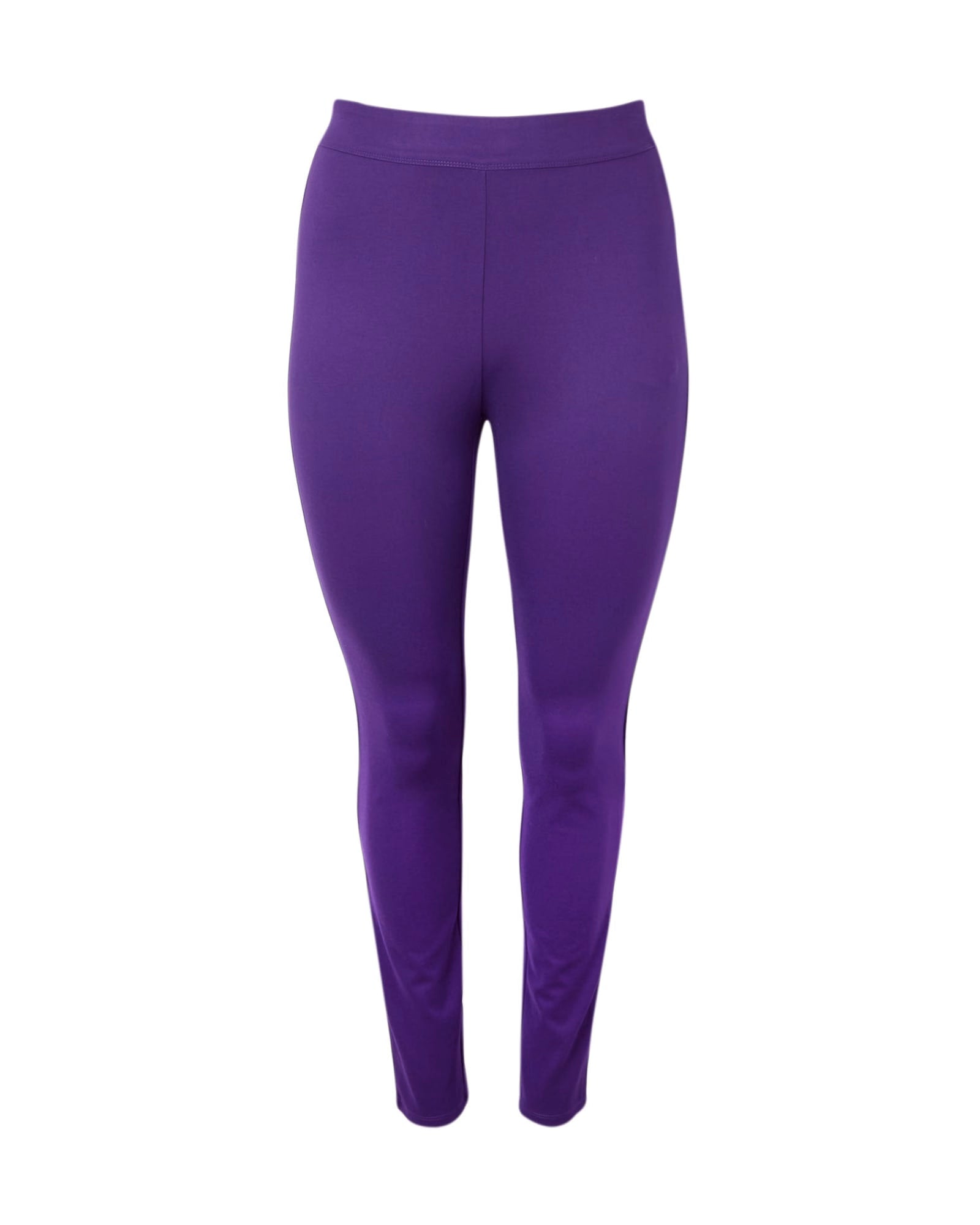 Plus Size Ayla Ponte Classic Legging