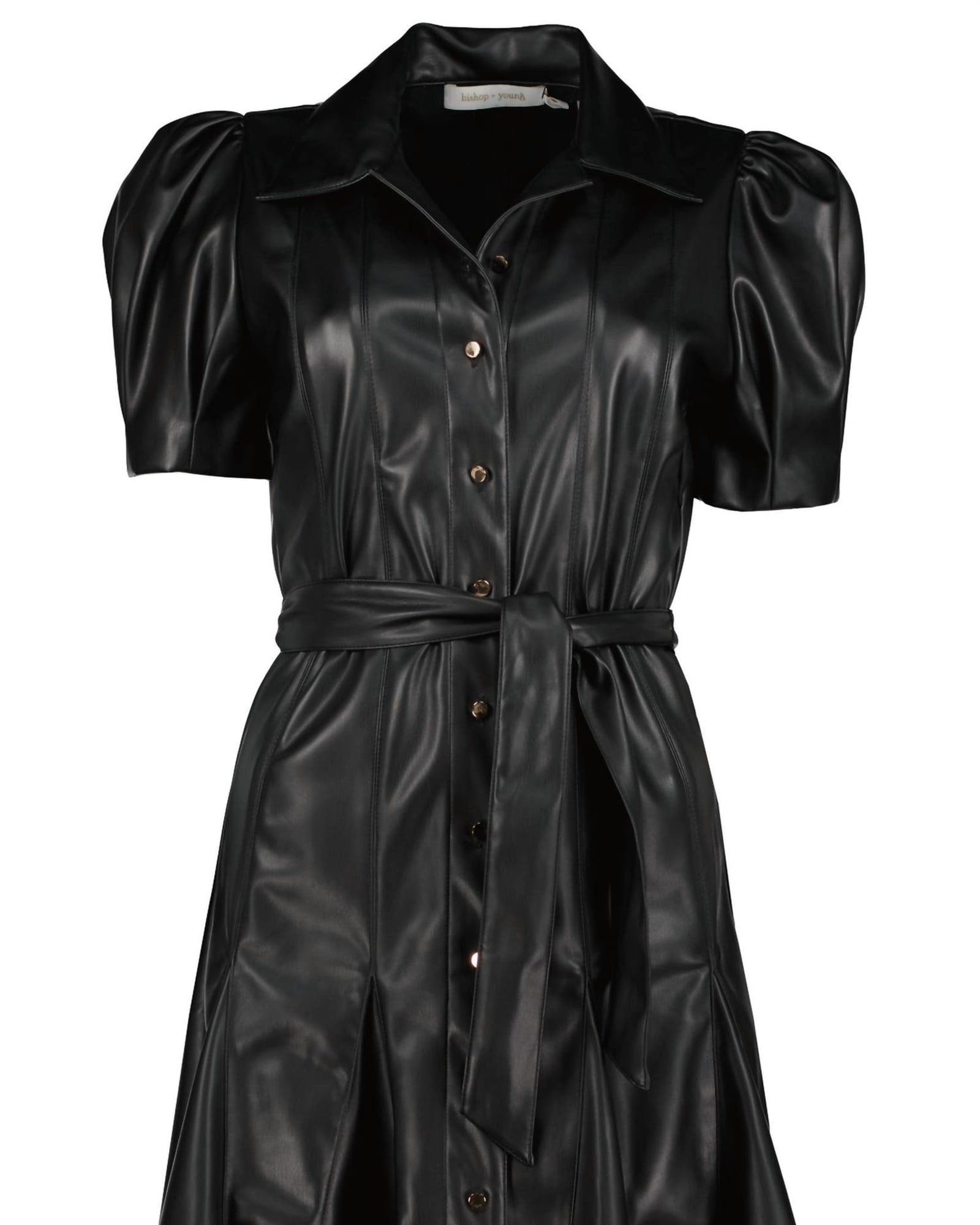 Clea Vegan Leather Dress in Black | Black