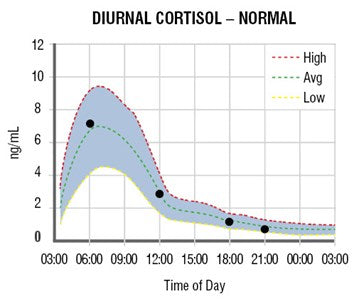 Diurnal Cortisol Test - Normal Levels