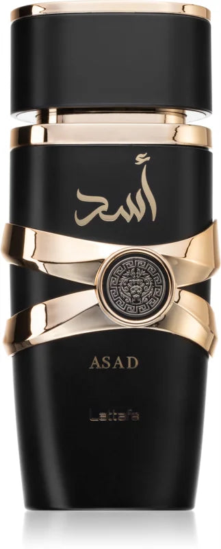 Lattafa Asad Eau de Parfum for men 100 ml – My Dr. XM