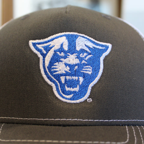 Up Close Picture of the Georgia State University Panthers Logo