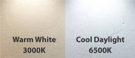 Warm White vs Cool Daylight