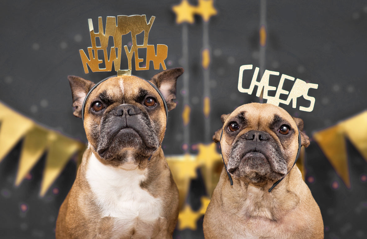 Pet Positive New Years Resolutions Header