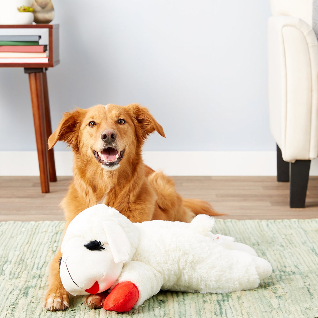 lamb chop plush dog toy