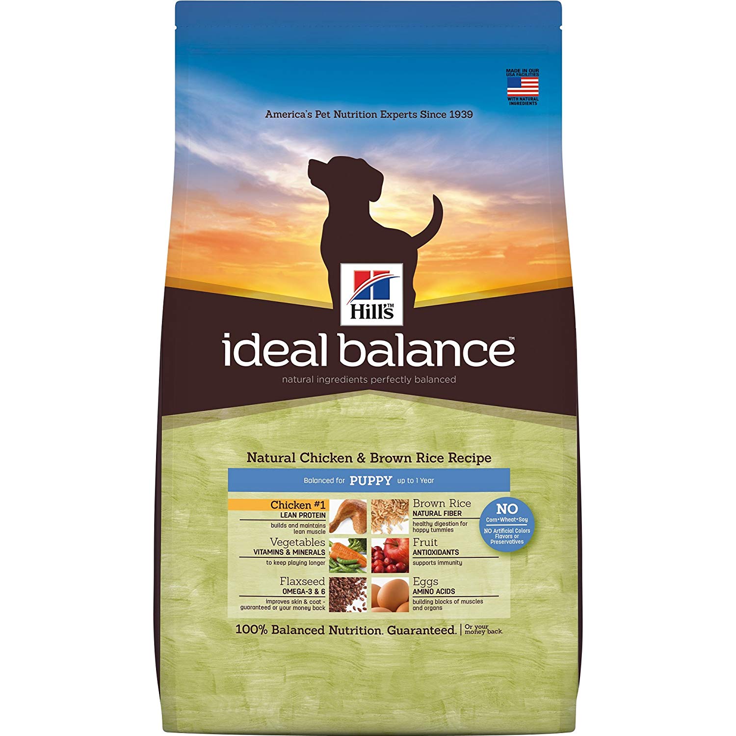 ideal balance dog food