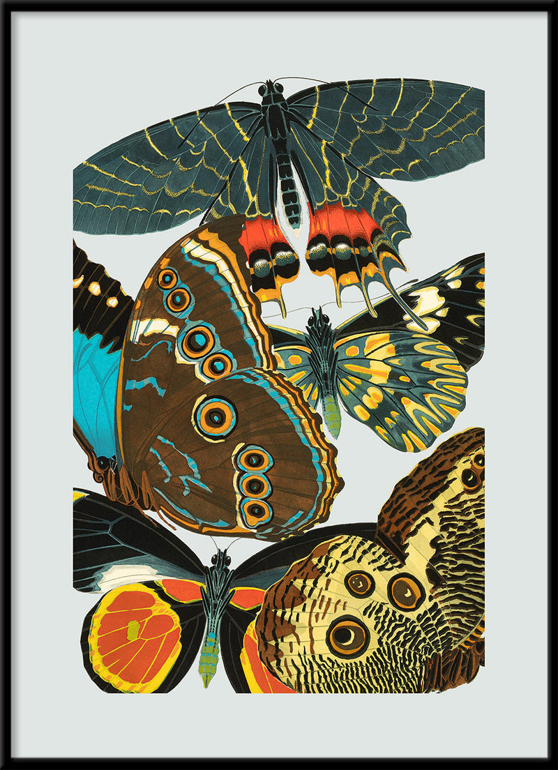 Papillon IV. Mini Print