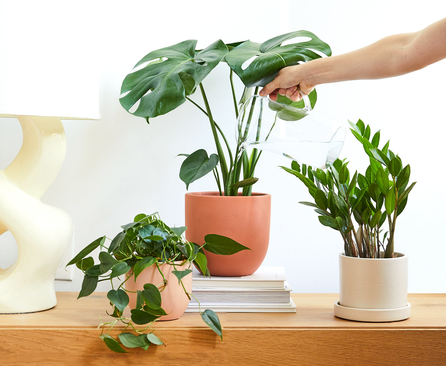 How To Keep Your Plants Alive While On Holiday