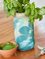 Garden Jar Duo, Basil + Mint