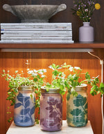 Garden Jar Duo, Mint + Cilantro