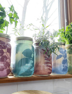 Garden Jar Duo, Basil + Mint