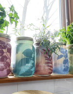 Garden Jar Duo, Mint + Rosemary