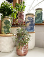 Garden Jar Duo, Mint + Rosemary
