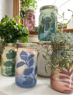 Garden Jar Duo, Basil + Rosemary