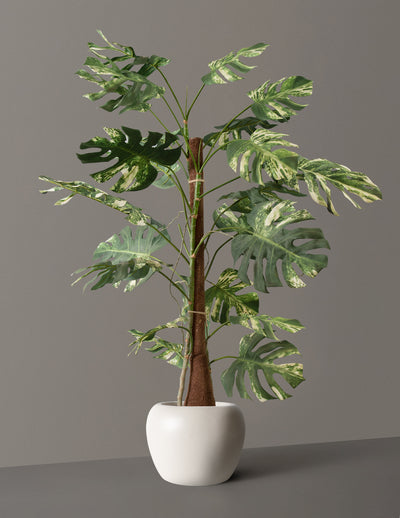 Faux Variegated Monstera Tree