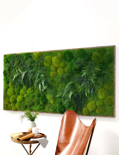 Medium Preserved Living Wall 48 x 18